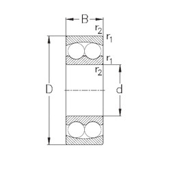 Bearing 2320 NKE