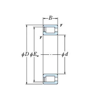 Bearing NNCF5076V