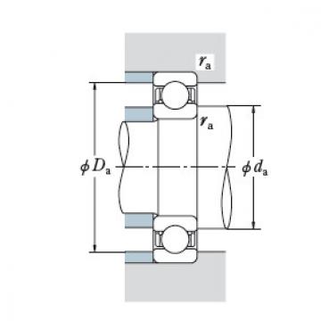 Bearing BT290-2 DF