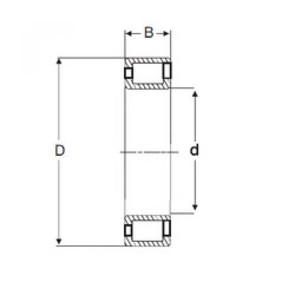 Bearing NCF 2928 V SIGMA #1 image