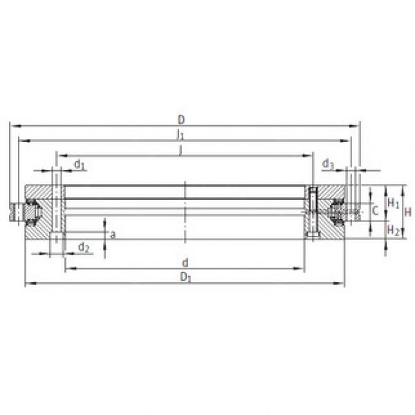 Bearing YRTS260 INA #1 image